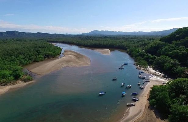 Tamarindo River Boat Tour