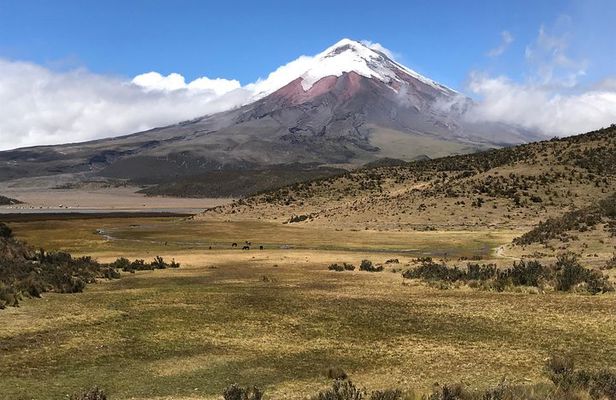 Private Tour Cotopaxi