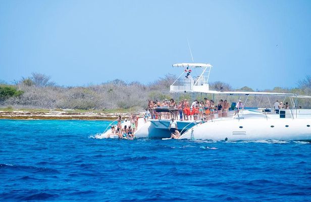 Saona Island Tour From Punta Cana