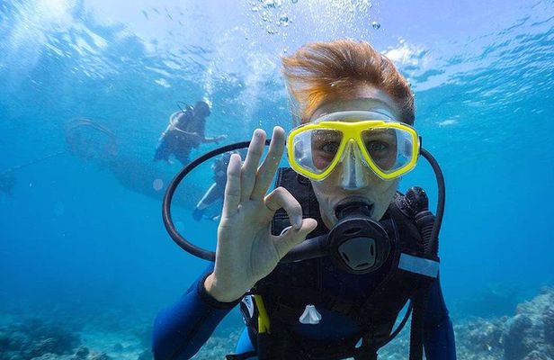 Scuba Diving at Catalina Island - 2 tank - for Certified Divers