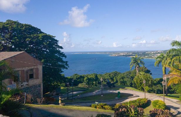 Tobago Island Tour