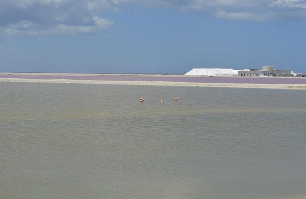 Coloradas Bioexperiences