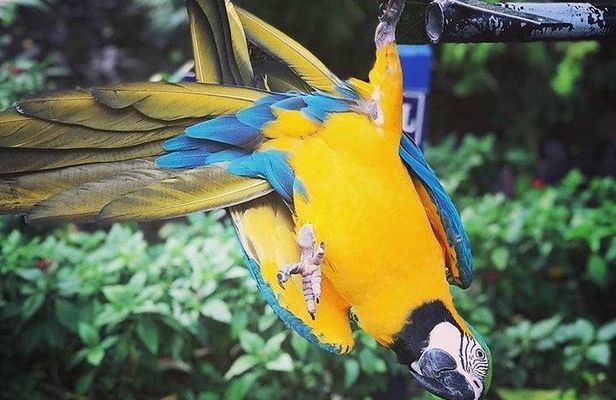 Rockland Bird Sanctuary Tour [Transportation] Hotel Pick-Up