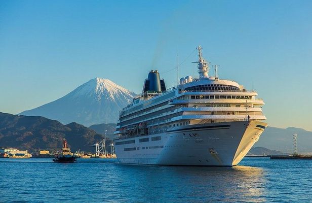 Private sightseeing tour from Shimizu Port / Van Taxi