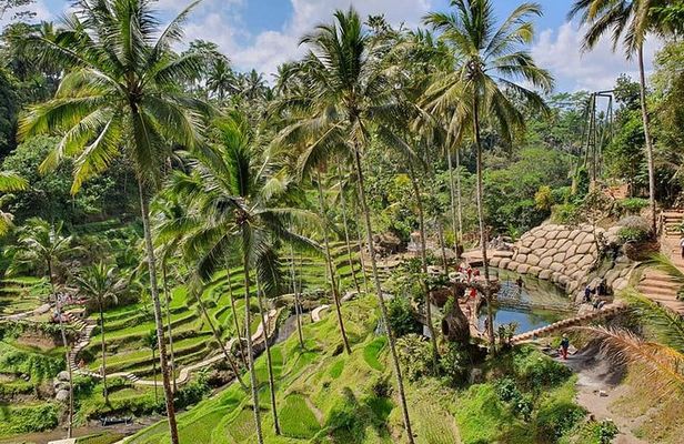 All Inclusive Ubud Experience