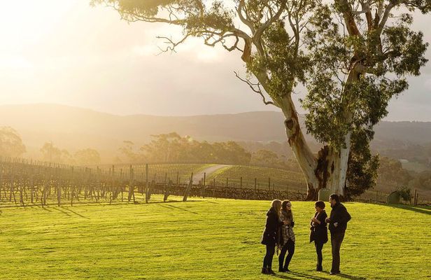 Hahndorf and Adelaide Hills Hop-On Hop-Off Winery Tour from City