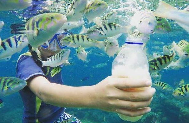 Blue Lagoon & Tanjung Jepun Snorkeling Private Tour