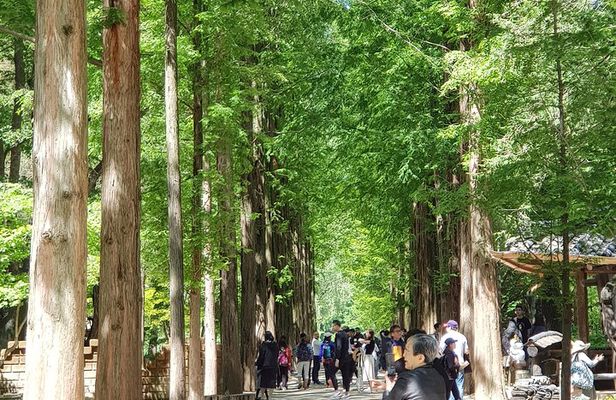 Winter Sonata TV Tour on Nami Island from Seoul