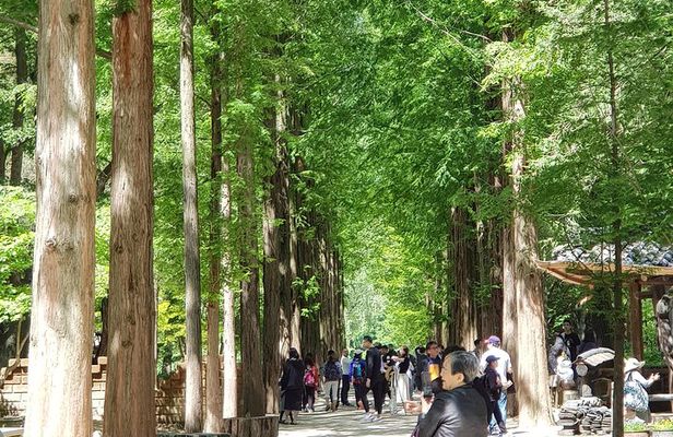 Nami Island and Petite France - Filming location