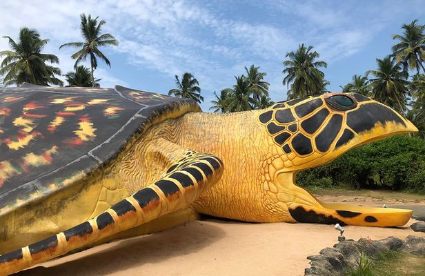 Galle Day Tour