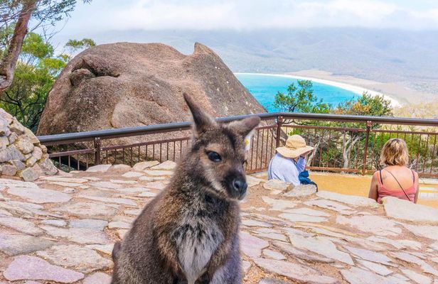Wineglass Bay & Freycinet NP Full Day Tour from Hobart via Richmond Village