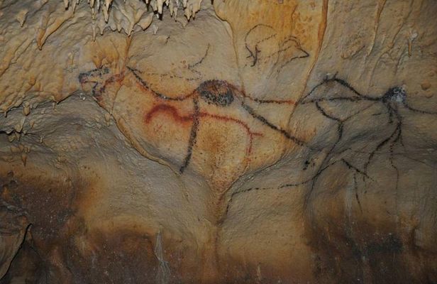 Private Tour : Prehistoric Cave and Castle by EXPLOREO SARLAT