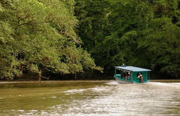 Safari Boat on Sarapiqui River with Lunch from San Jose