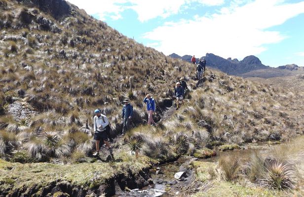 Inca Trail Cajas National Park tour from Cuenca