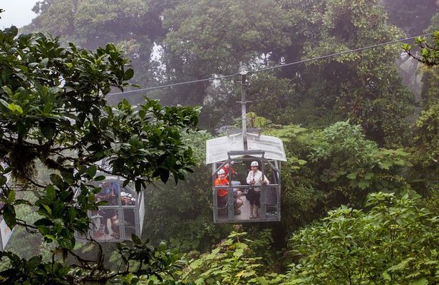 Sky Tram & Sky Trek From Monteverde