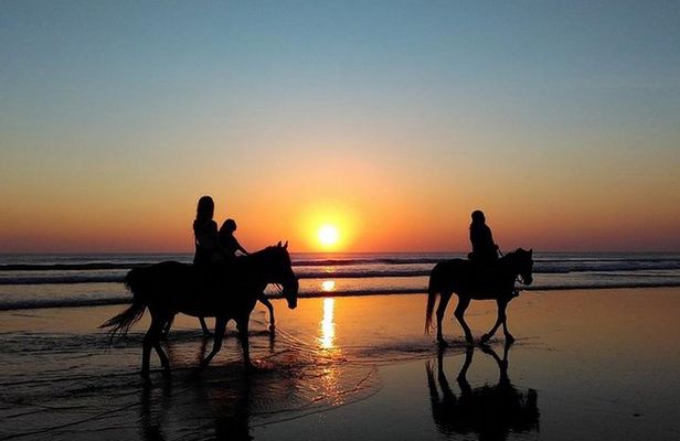 Puerto Plata: Sunset Beach Horseback Riding