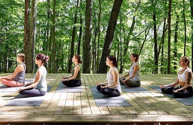 Etna Volcanic Yoga and Meditation - Private Experience