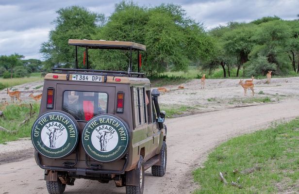 4 Days Tarangire , Ngorongoro ,Manyara and lake Eyasi village