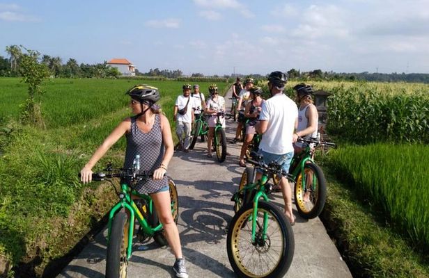 Ubud Rice Terraces eBike Private Tour
