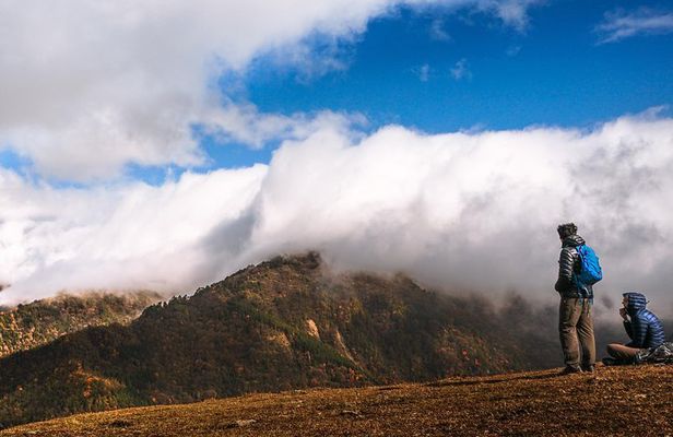 Visiting Wolong Panda Base and Hiking on Heritage Site