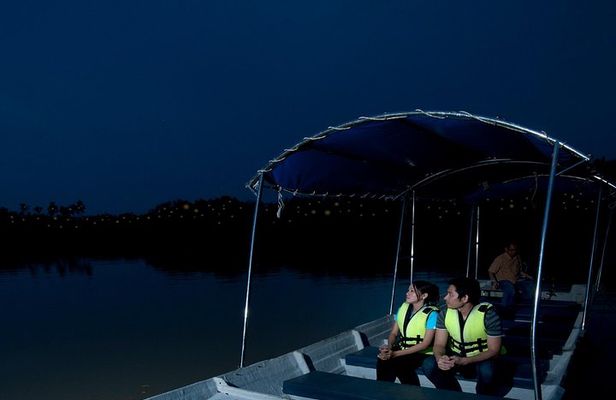 Private Tour: Kuala Selangor Firefly Blinkings including Seafood Dinner