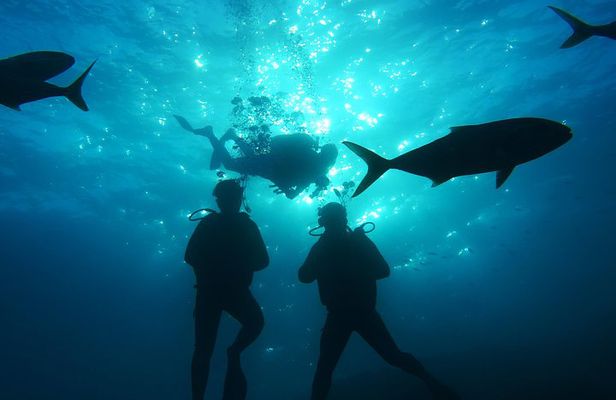 Fun Diving at Amorgos Diving Center