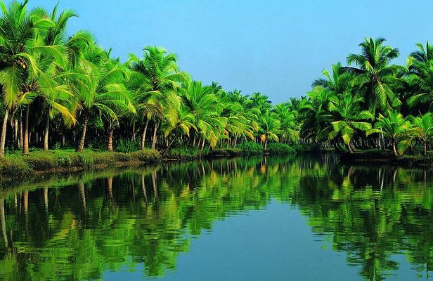 Cochin Shore Excursion: Backwater Houseboat Tour and Chinese Nets