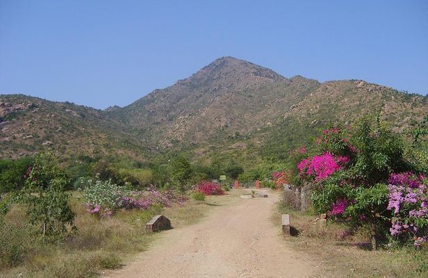 Tiru Arunachala Tours - Tiruvannamalai Tour Guide
