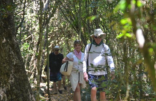 Punta Cana Lagoon Tour with Lunch, Boat Cruise, Open Bar