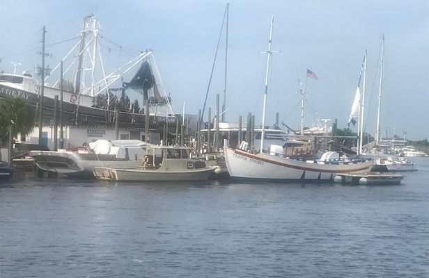 Sponge Dock Stroll