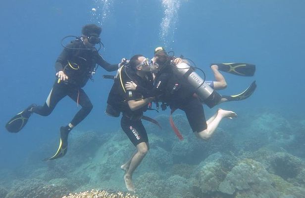 Discover Nha Trang Bay with Scuba Diving Tour