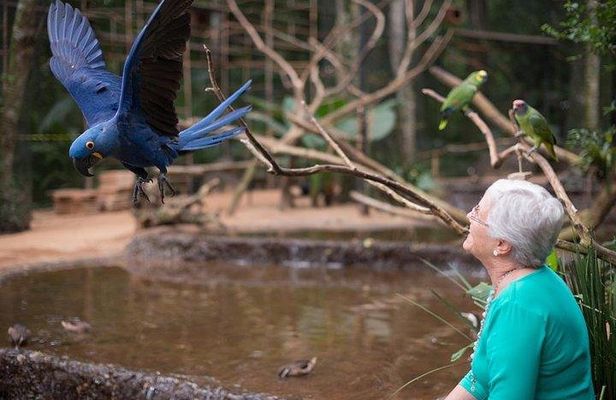 Itaipu Dam & Bird Park & Iguassu Falls Brazilian Side From Puerto Iguazu Hotels