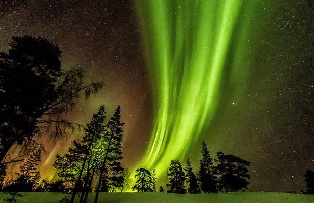 Northern Lights Aurora Tour from Kemi