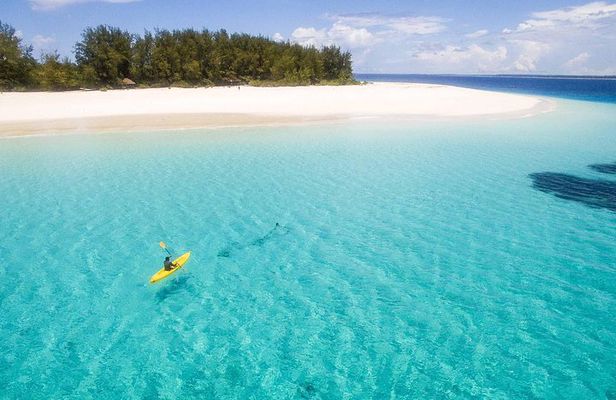 Full-Day Mnemba Island Live Aquarium & Turtle House - Zanzibar