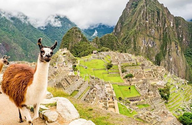 Machu Picchu and Huayna Picchu by Train (2 Days)