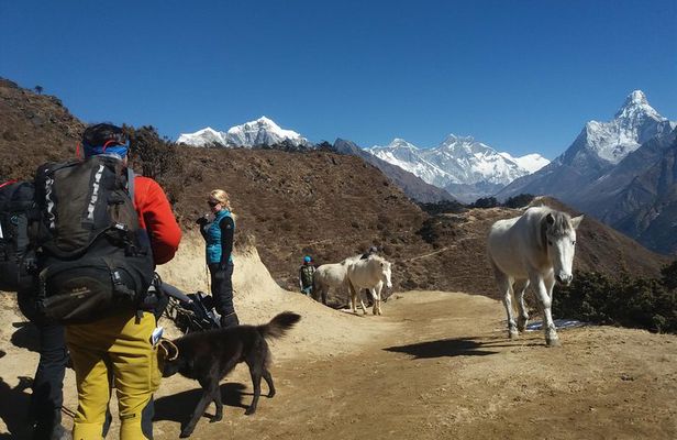 Everest Base Camp Trek