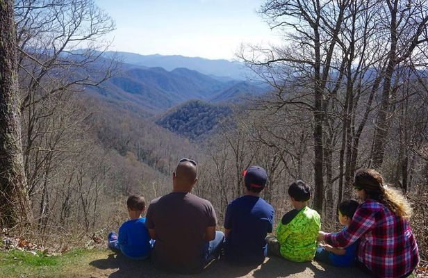 Smoky Mountain Guided Scenic High Van Tour