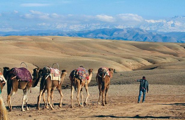 Desert Agafay & Atlas Mountains & Waterfalls, Camel ride Day Trip From Marrakech