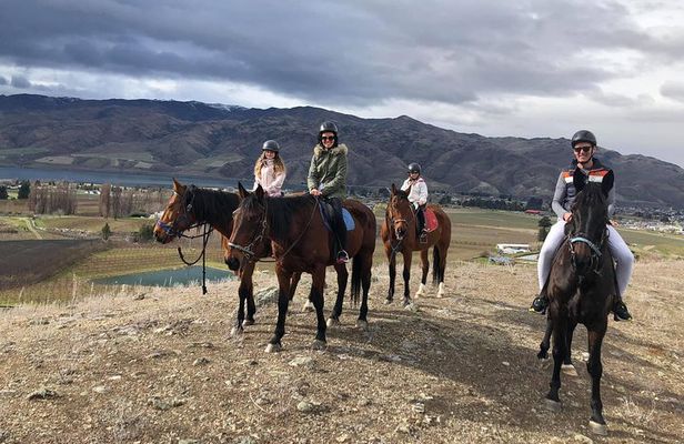 Golden Hills Horse Treks