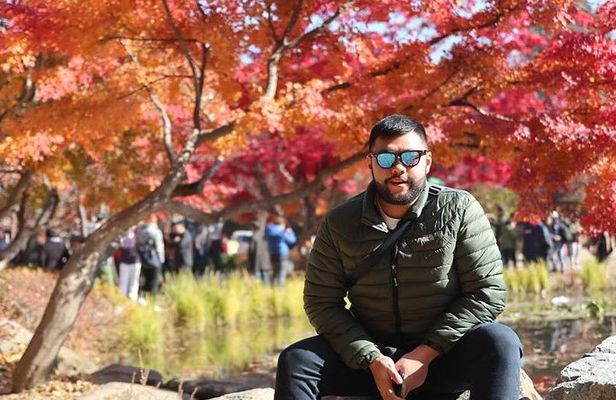 Make Your Trip Around Nami Island With an Expert(DSLR option)