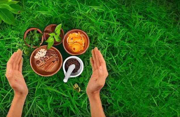 Ayurvedic Relaxation Package for 7 Days
