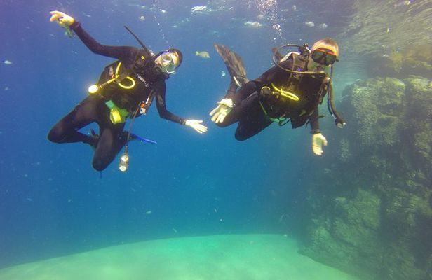 Beginner Scuba Diving in Cabo San Lucas