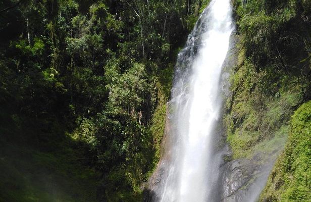 canyonning & coffee experience half day