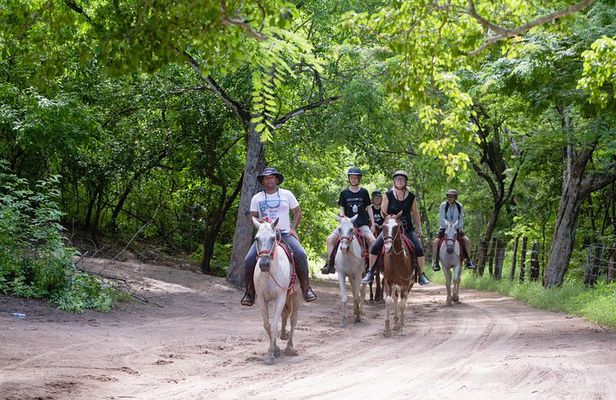 Horseback Riding tours in Brasilito