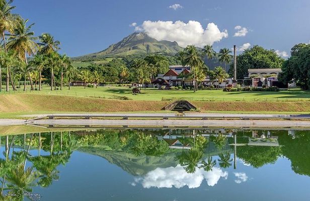 V.I.P North Caribbean deep forest Tour -The Green Martinique