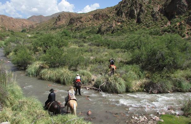 Full day ride at the foot of The Andes 
