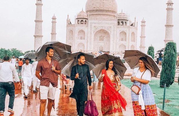 Taj mahal tour with SOS Elephant/Bear wildlife Sanctuary