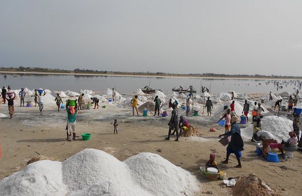 Experience Dakar-Goree-Pink Lake-Safari tour in 2 days