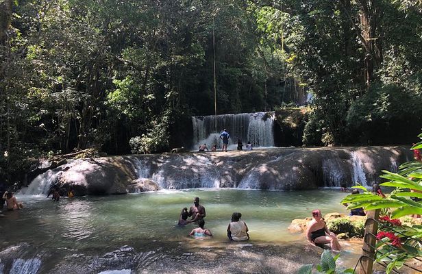 Black River Safari, YS Falls and Appleton Estate