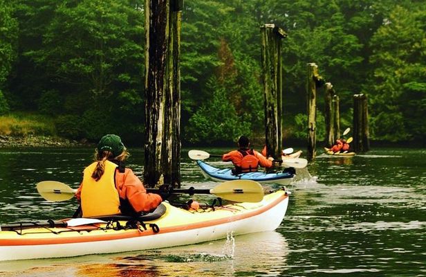 Ucluelet Harbour Tour